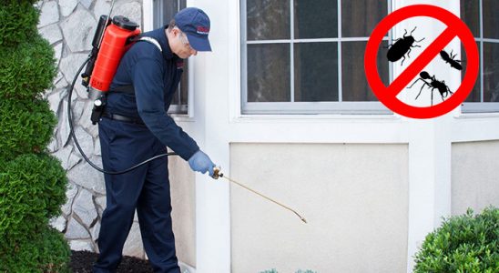 Limontepe Hamam Böceği İlaçlama böcek ilaçlama ve haşere kontrolü — ilaclama-tr.com